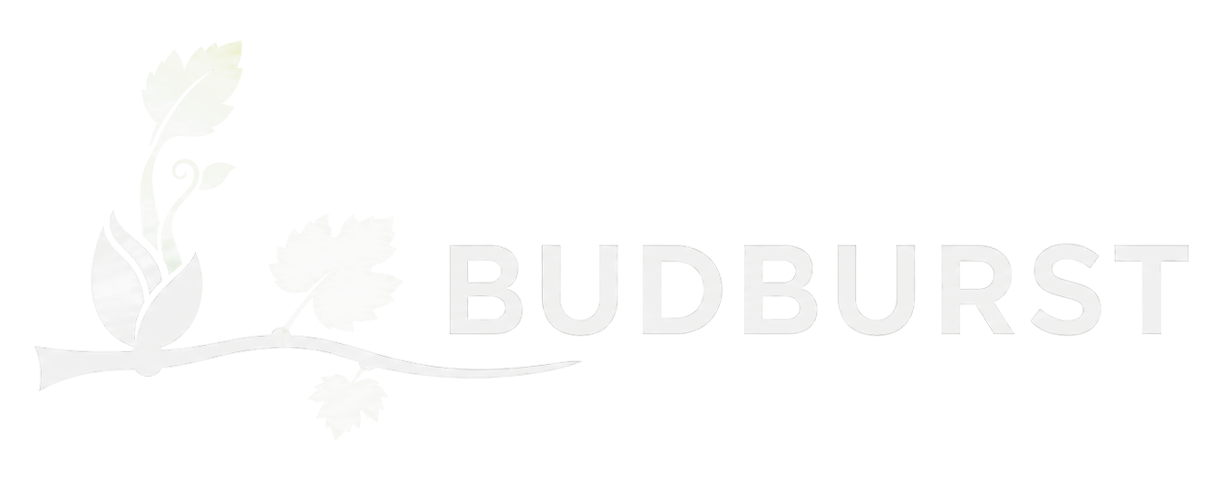 Budburst logo transparent white